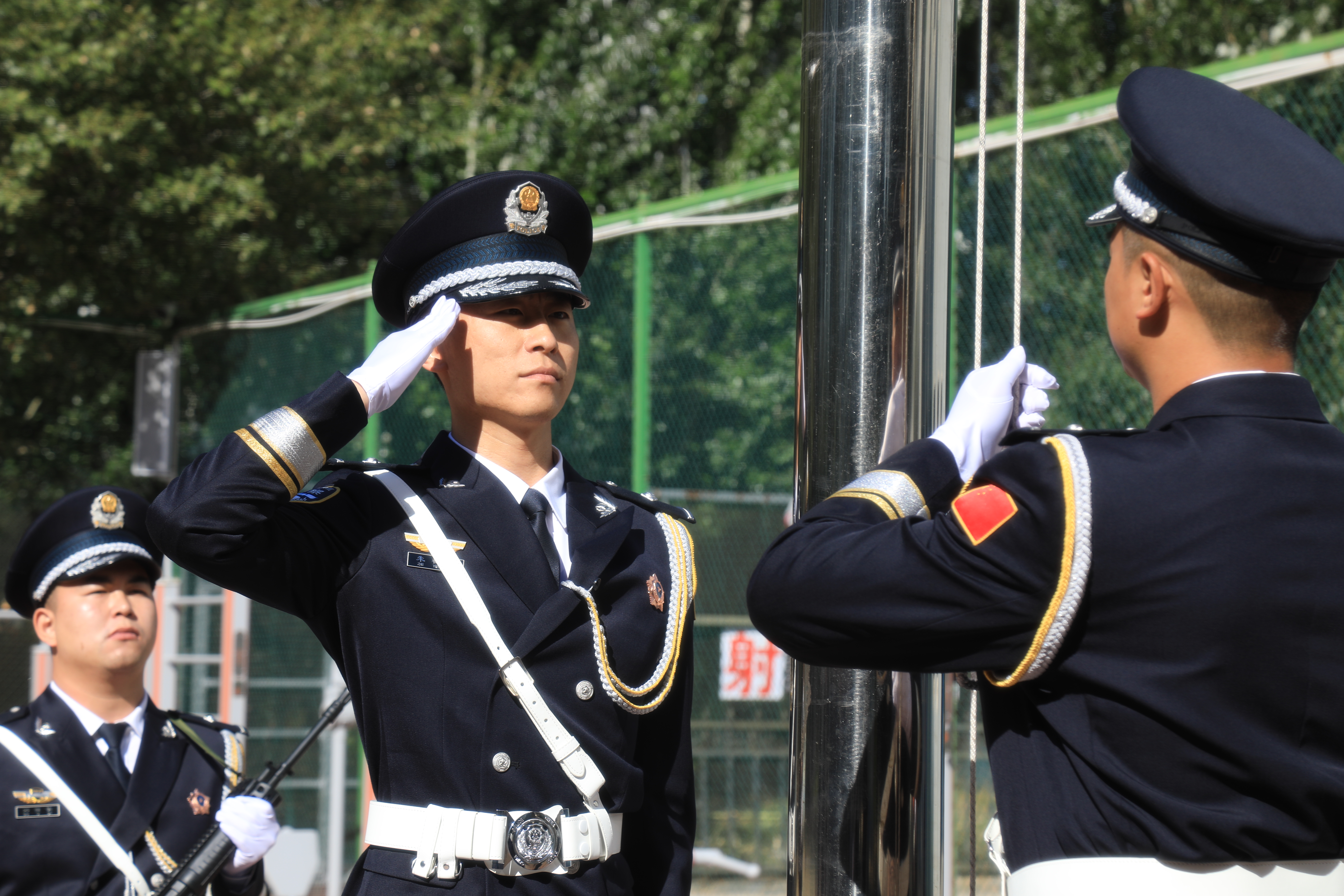 bdfa430903631b3fb56d9ac57ef18aee.jpg